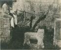 Man seated amongst hieroglyphic ruins
