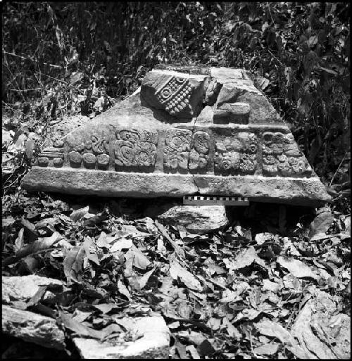 Fragment of Lintel 44 at Yaxchilan