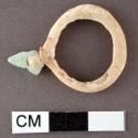 Shell ring, fragment of turquoise pendant attached - glycymeris shell - 2.1 x .2