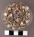 485 whole shell beads, 25 fragments of shell beads - diameter range: .2-.5 cm.,