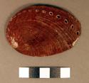 Haliotic shell