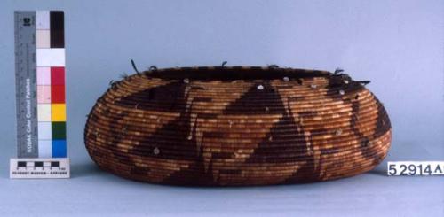 Basket with quail top knot feathers and shell bead attachment; 15.5" l. x 11.5"