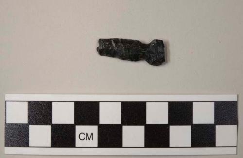 Stone projectile point