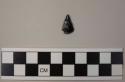 Stone projectile point