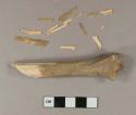 Animal bone fragments; one fragment is the distal end of a tibia, with butchery marks
