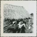 Photograph album, Yaruro fieldwork, p. 6, photo 1, thatched building with woman