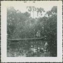 Photograph album, Yaruro fieldwork, p. 21, photo 1, man in canoe on the river