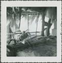 Photograph album, Yaruro fieldwork, p. 30, photo 1, man making spear