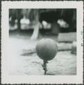 Photograph album, Yaruro fieldwork, p. 59, photo 5, decorated object