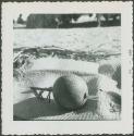Photograph album, Yaruro fieldwork, p. 60, photo 2, decorated object on woven sack