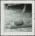 Photograph album, Yaruro fieldwork, p. 60, photo 4, decorated object leaning on stick