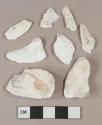 White shell fragments, possibly oyster shell