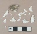 Unidentified white shell fragments, heavily degraded