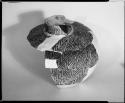 Photograph and negative of painted ceramics from the Jeddito Expedition, page 54