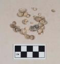 Shells and shell fragments, mostly bivalves; shell bead fragment