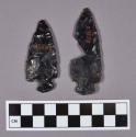 Obsidian projectile points, one corner-notched and one broken side-notched