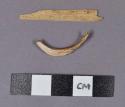 Organic, faunal remains, bone and tooth fragments