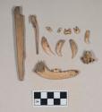 Animal bone fragments, including mandible fragment with some intact teeth, jaw fragment with intact tooth, long bone fragment; worked animal bone fragment; animal teeth