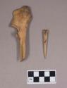Worked animal bone awl and awl fragment, one made from ulna