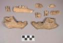 Animal bones, including mandible fragments with some teeth intact, two rodent mandibles with some teeth intact, likely beaver; animal teeth