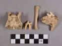 Organic, faunal remains, bone and teeth fragments