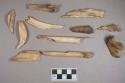 Organic, animal bone fragments, some bird; animal tooth