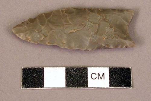 Stone projectile point, fluted