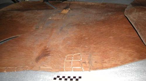 Shields of wild buffalo hide