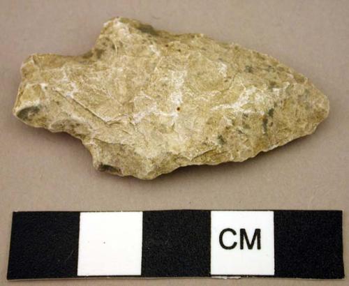 Projectile point