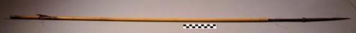 Cane arrow with inset chonta palm wood foreshaft with a single +