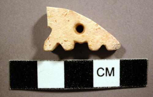 1 shell amulet with perforation