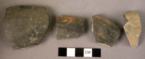 Pottery bowl fragments