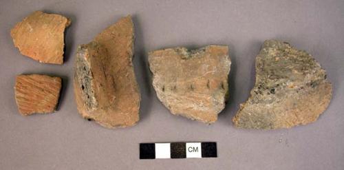 Pottery storage jar fragments