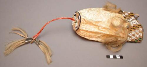 Blackfoot bag from a bladder. Decorated with beadwork, tinkler, and horsehair