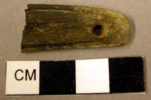 Fragment of perforated bone implement