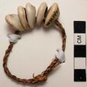 Bracelet, cowrie shells attached to piece of fibre, insimbi