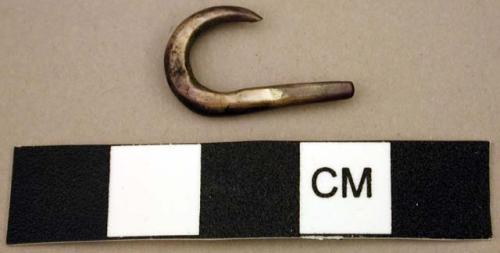 Fish hook, shell