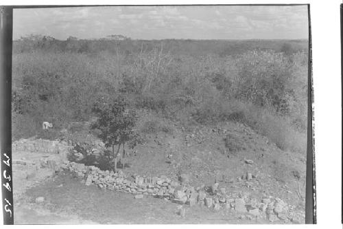 Monjas - Bushing E. mound - view from E. wing top