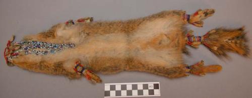 Ceremonial pouch--made of a complete rodent skin