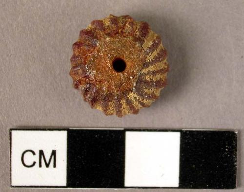 Well-covered disk-shaped amber pendant or bead with oblique radial ridges