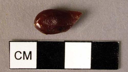 Fragmentary amber pendant, probably tear-drop shaped