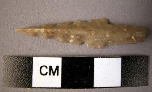 One (1) Flint Projectile point (?). Note tang, triangular section and series of