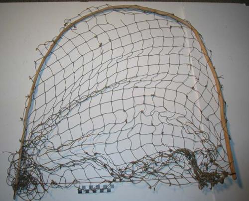 Bird trap consisting of net inside twig frame. Ndumbaza