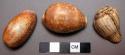 3 shells used only for men, used in witch doctor's pouch 47-44-n50/6194