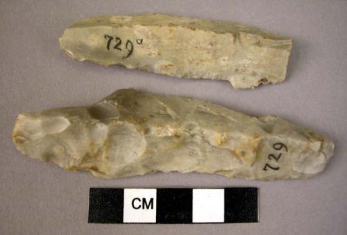 Flint flakes probably used as implements