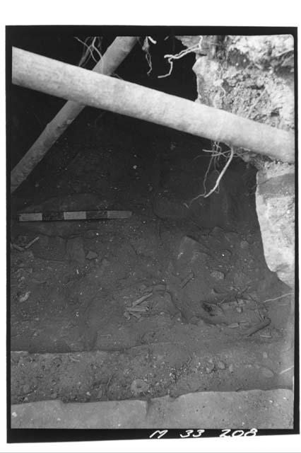 Monjas - Tomb pot in N.W. corner level step #6