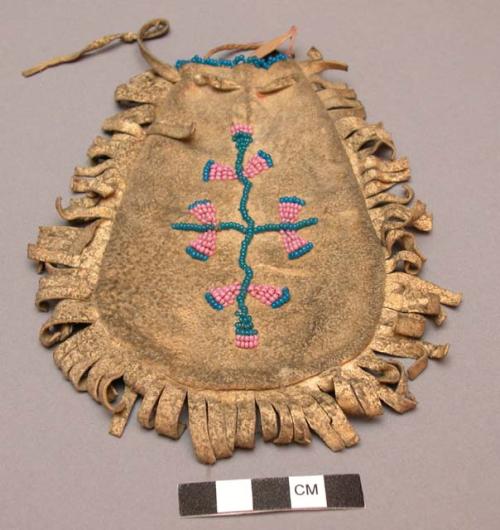 Skin pouch for man--fringed; edge of opening decorated with blue beads