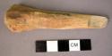 Fragment of animal leg bone split longitudinally and then cut and +