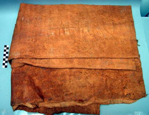 Bark cloth or bark blanket made from bark of calo tree