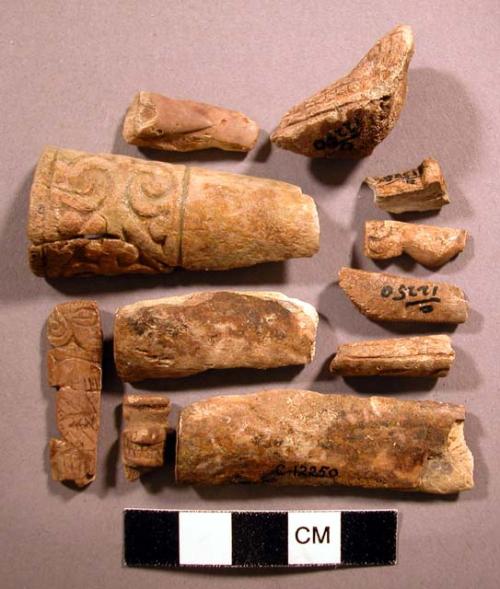 Misc. carved bone fragments